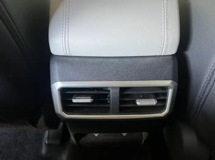 Lion Platinum 2023 Model 2.0T 2WD Premium Edition – фото 7