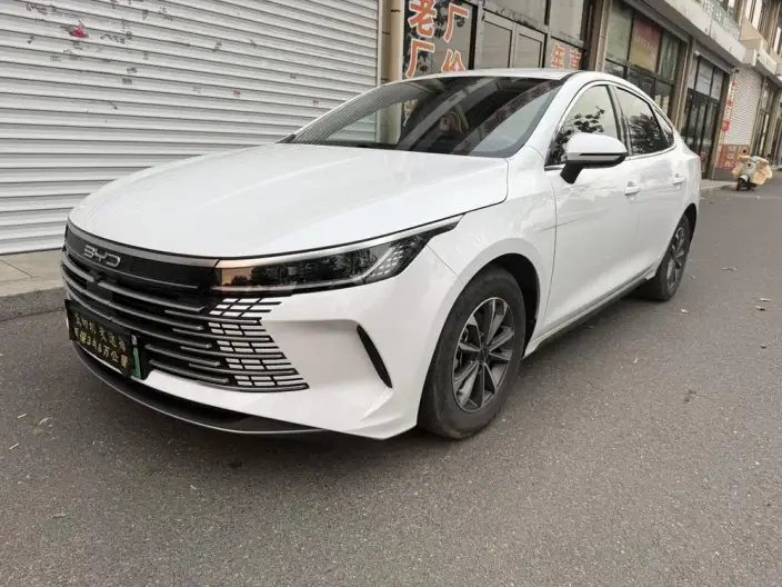 BYD Destroyer 05 2024 Model Honor Edition DM-i 55KM Luxury Model – фото 1