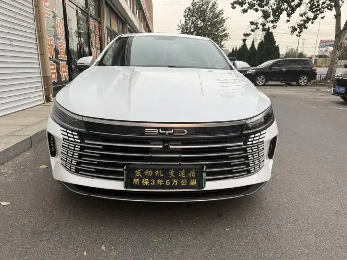BYD Destroyer 05 2024 Model Honor Edition DM-i 55KM Luxury Model – фото 2