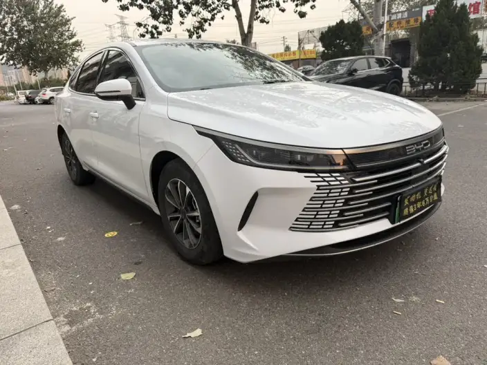BYD Destroyer 05 2024 Model Honor Edition DM-i 55KM Luxury Model – фото 3