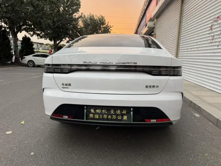 BYD Destroyer 05 2024 Model Honor Edition DM-i 55KM Luxury Model – фото 5