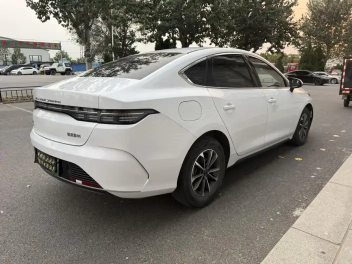 BYD Destroyer 05 2024 Model Honor Edition DM-i 55KM Luxury Model – фото 6