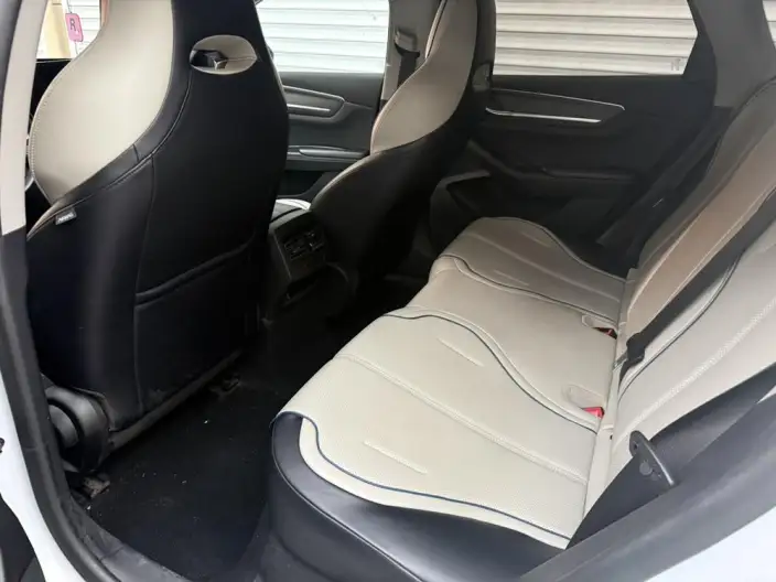 BYD Destroyer 05 2024 Model Honor Edition DM-i 55KM Luxury Model – фото 9