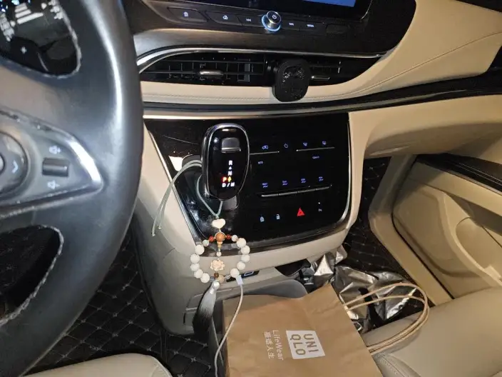 Buick GL8 2023 Model Business class 2.0T Luxury Model – фото 9