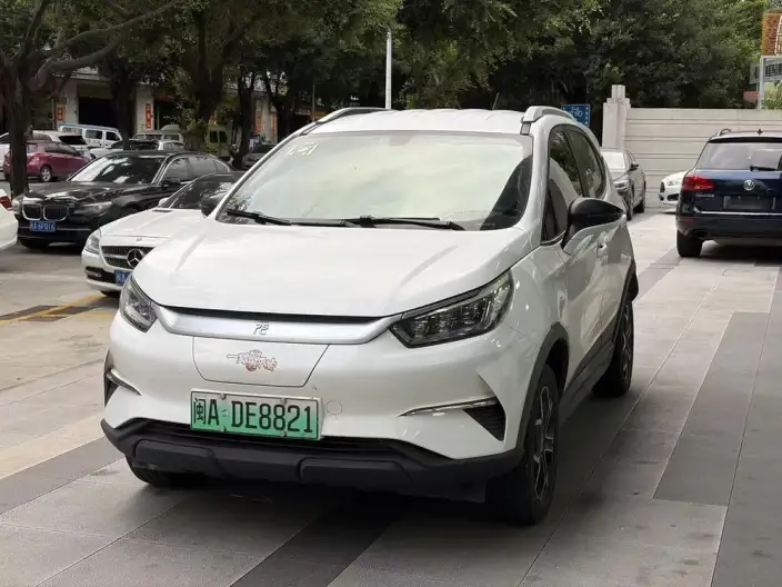 Yuan Pro 2021 Model 401KM Luxury Model – фото 1