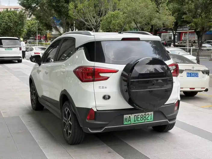 Yuan Pro 2021 Model 401KM Luxury Model – фото 4