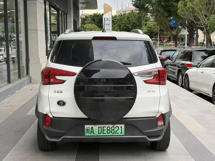 Yuan Pro 2021 Model 401KM Luxury Model – фото 5