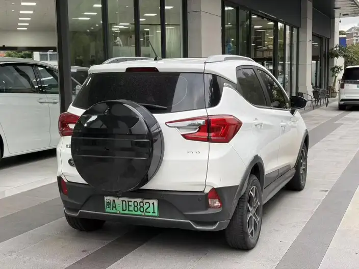 Yuan Pro 2021 Model 401KM Luxury Model – фото 6