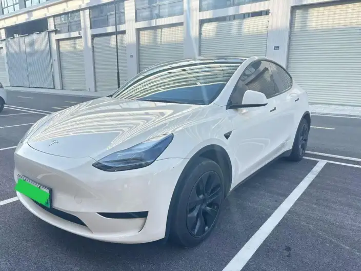 Model Y 2023 Model Rear-wheel drive version – фото 1