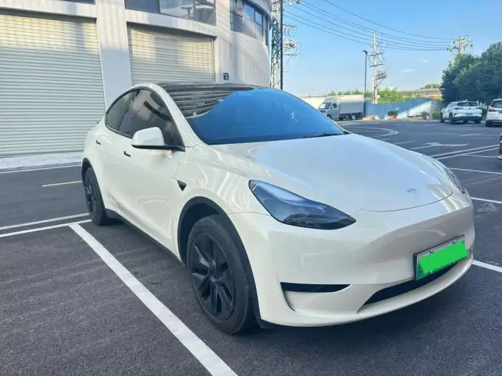 Model Y 2023 Model Rear-wheel drive version – фото 3
