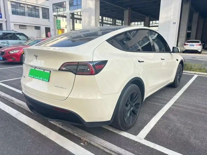 Model Y 2023 Model Rear-wheel drive version – фото 6