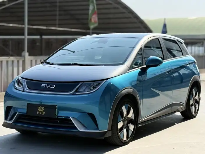 BYD Dolphin 2021 Model Knight Edition – фото 1