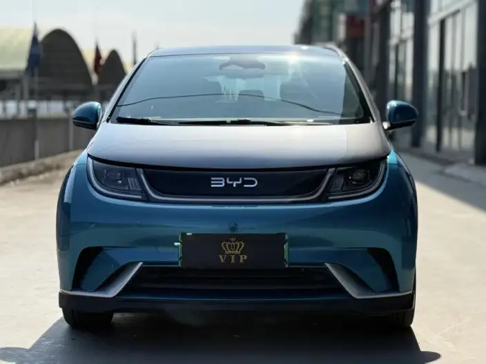 BYD Dolphin 2021 Model Knight Edition – фото 2