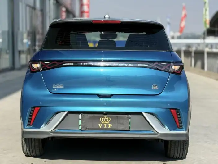 BYD Dolphin 2021 Model Knight Edition – фото 5
