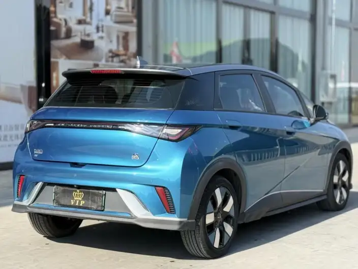 BYD Dolphin 2021 Model Knight Edition – фото 6