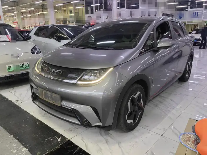 BYD Dolphin 2021 Model Fashion Edition – фото 1