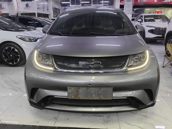 BYD Dolphin 2021 Model Fashion Edition – фото 2