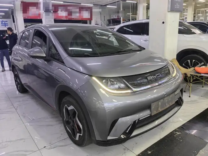 BYD Dolphin 2021 Model Fashion Edition – фото 3