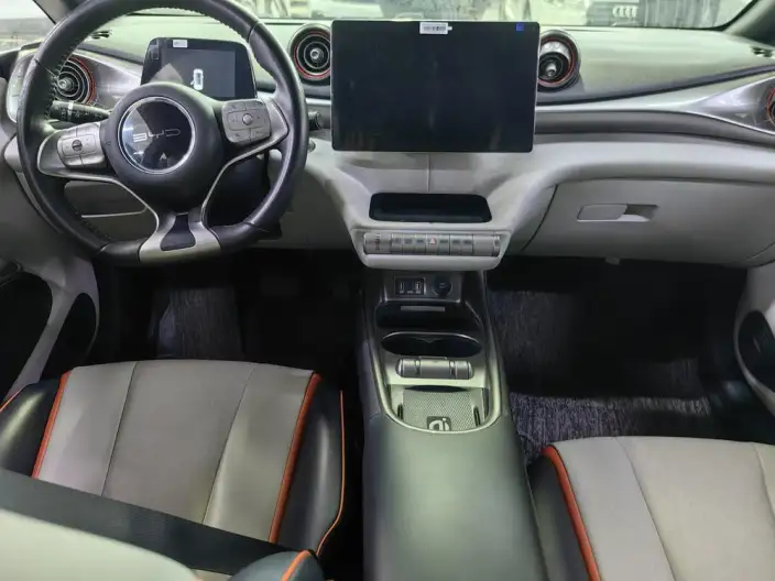 BYD Dolphin 2021 Model Fashion Edition – фото 6