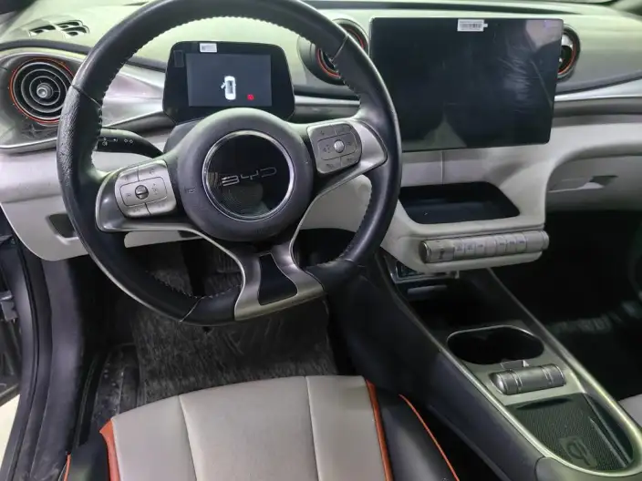 BYD Dolphin 2021 Model Fashion Edition – фото 7