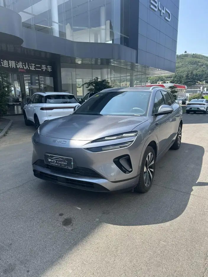 Sea Lion 06DM 2025 Model DM-i 132KM Pilot Edition
