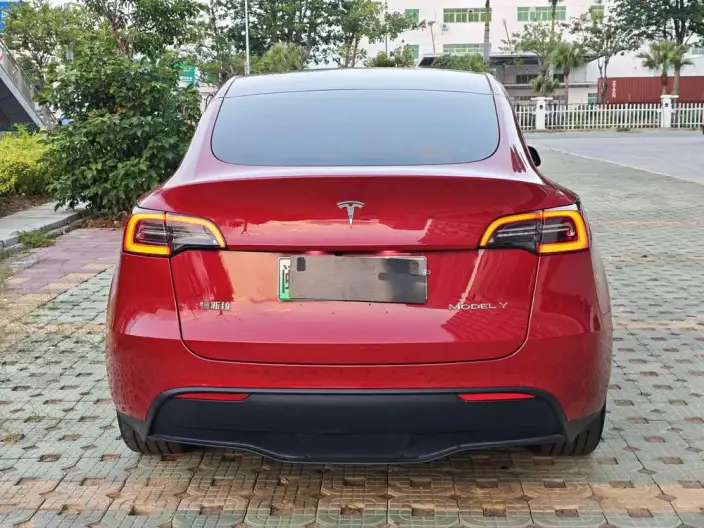 Model Y 2023 Model Rear-wheel drive version – фото 5