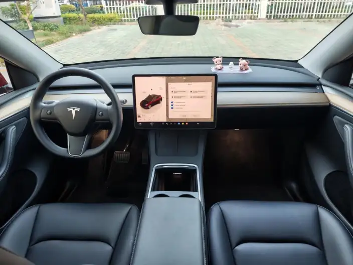Model Y 2023 Model Rear-wheel drive version – фото 8