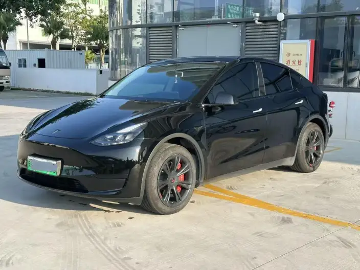 Model Y 2023 Model Rear-wheel drive version – фото 1