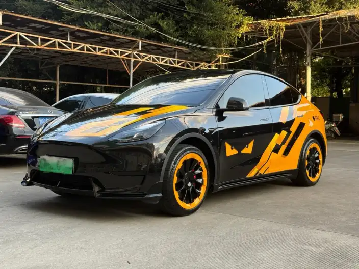 Model Y 2024 Model Rear-wheel drive version – фото 1