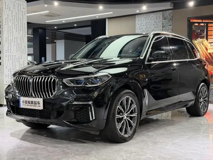 BMW X5 2022 Model xDrive 30Li Exclusive Model M Sports Set – фото 1