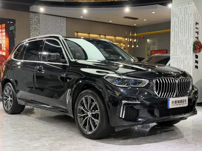 BMW X5 2022 Model xDrive 30Li Exclusive Model M Sports Set – фото 3