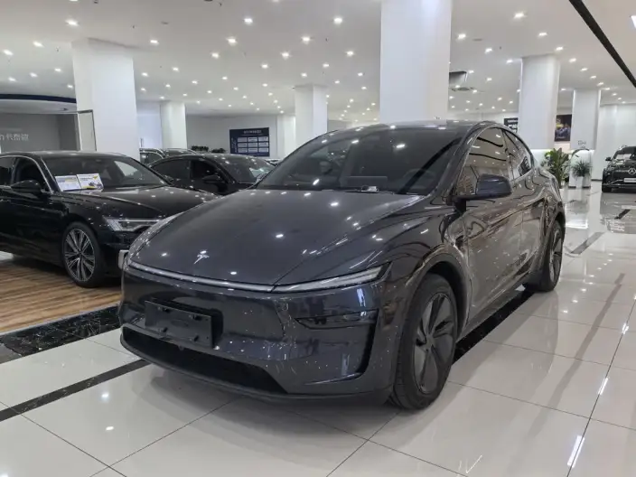 Model Y 2025 Model Rear-wheel drive version – фото 1