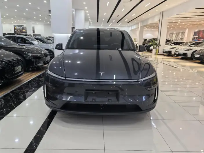Model Y 2025 Model Rear-wheel drive version – фото 2
