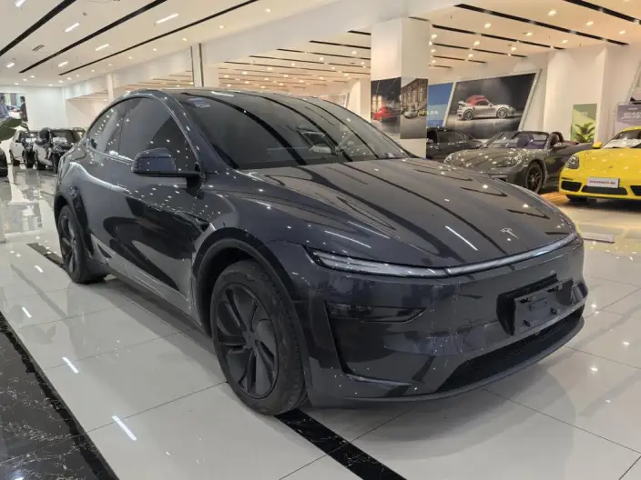 Model Y 2025 Model Rear-wheel drive version – фото 3