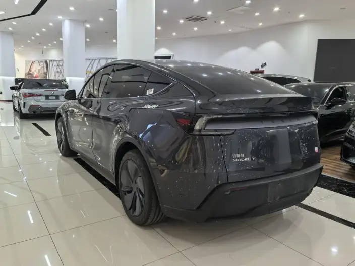 Model Y 2025 Model Rear-wheel drive version – фото 4