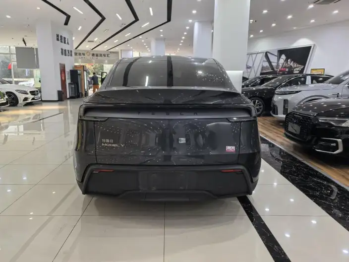 Model Y 2025 Model Rear-wheel drive version – фото 5