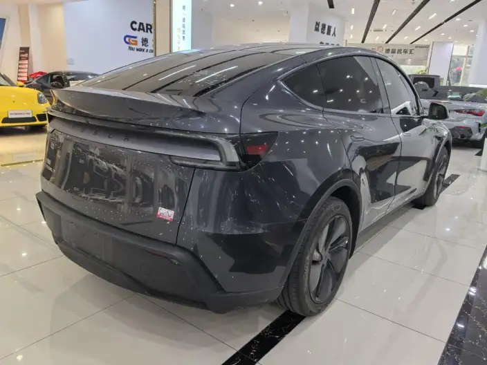 Model Y 2025 Model Rear-wheel drive version – фото 6