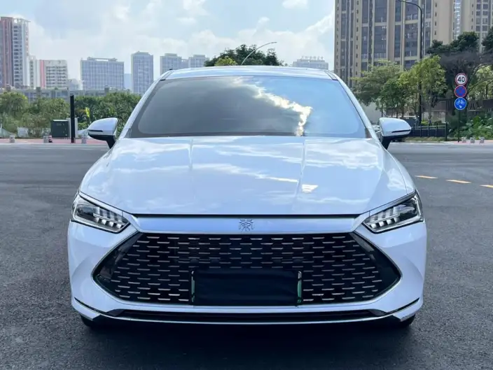 BYD Qin PLUS DM 2021 Model DM-i 120KM Noble Model – фото 2