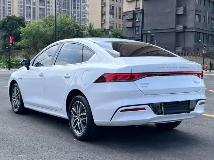BYD Qin PLUS DM 2021 Model DM-i 120KM Noble Model – фото 4