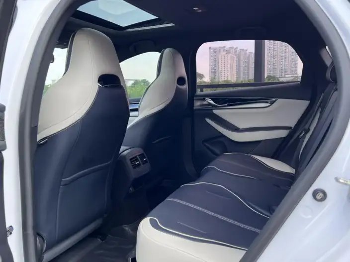 BYD Qin PLUS DM 2021 Model DM-i 120KM Noble Model – фото 9