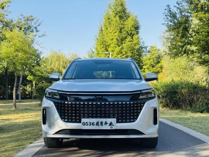 Blue Electric E5 2023 Model 1.5L DE-i Changxiang Edition Model – фото 2