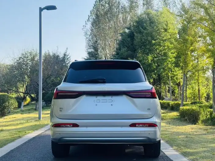 Blue Electric E5 2023 Model 1.5L DE-i Changxiang Edition Model – фото 6