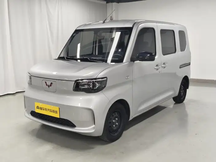 WULING Sunshine EV 2025 Model Standard Model