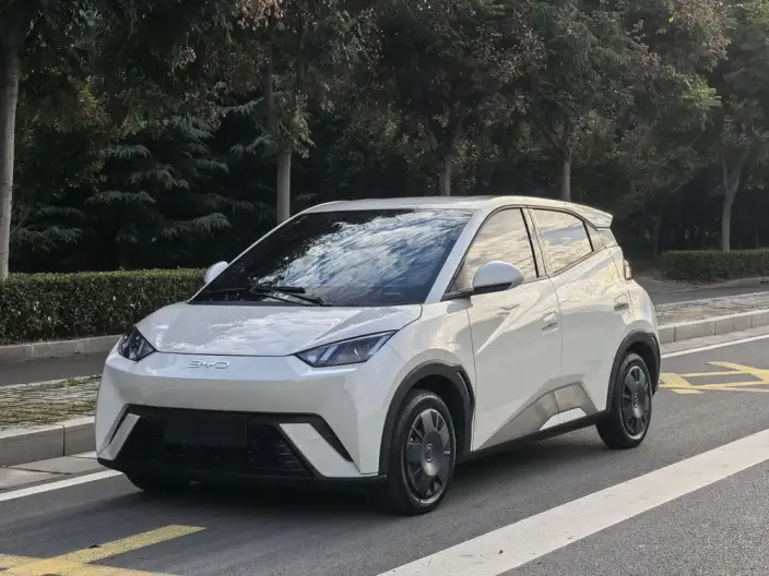 BYD Seagull 2024 Model Honor Edition 305KM Vitality Edition