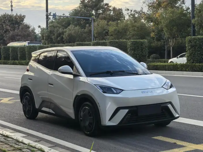 BYD Seagull 2024 Model Honor Edition 305KM Vitality Edition