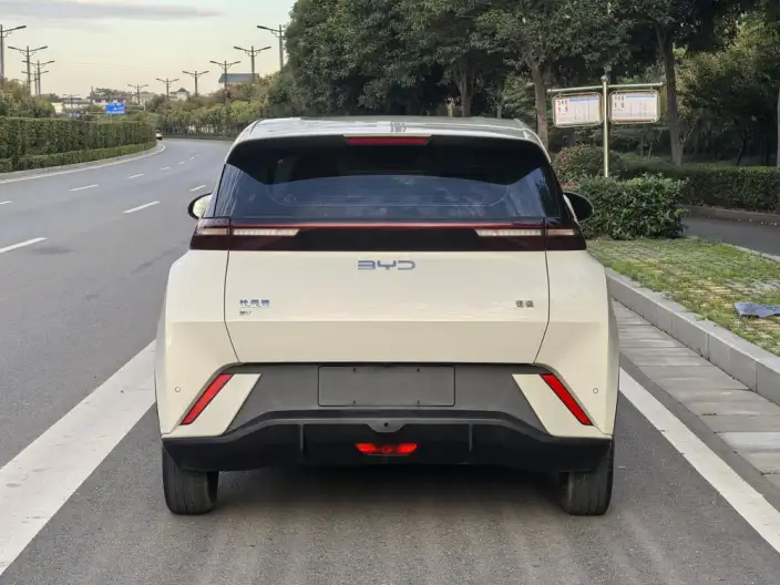 BYD Seagull 2024 Model Honor Edition 305KM Vitality Edition – фото 5
