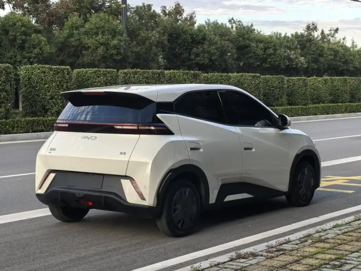 BYD Seagull 2024 Model Honor Edition 305KM Vitality Edition – фото 6