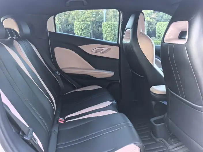 BYD Seagull 2024 Model Honor Edition 305KM Vitality Edition – фото 9