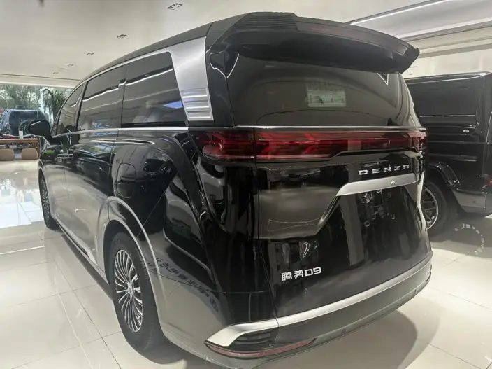 DENZA D9 DM 2024 Model 1050 Exclusive Model