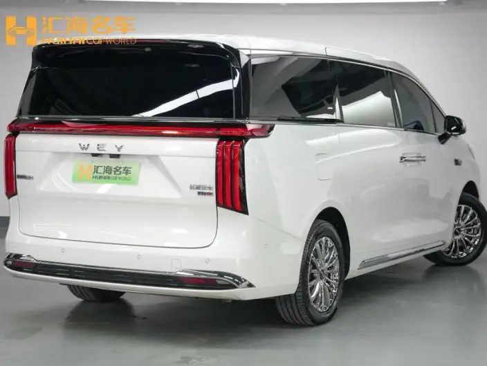 Wey Gaoshan P HEV 2025 Model 4WD Wey Gaoshan 8 – фото 6